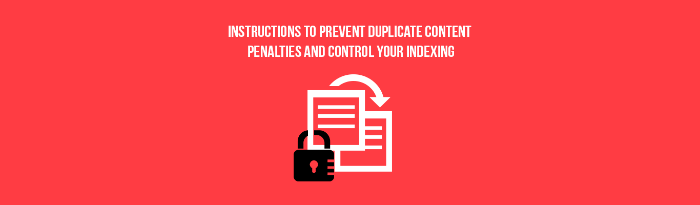 Instructions to Prevent Duplicate Content Penalties and Control Your Indexing